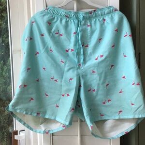 Men’s Soft Aqua Pink Flamingo Swim Trunks
